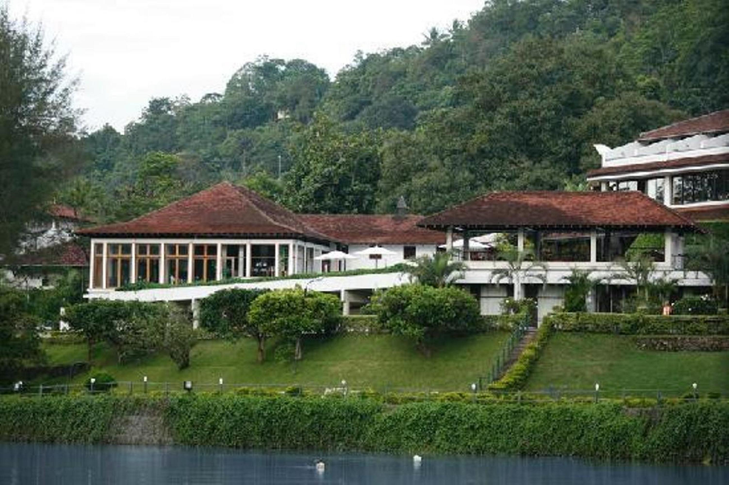 Cinnamon Citadel Канди